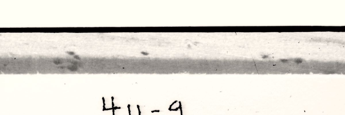 The handwritten file number 411-9