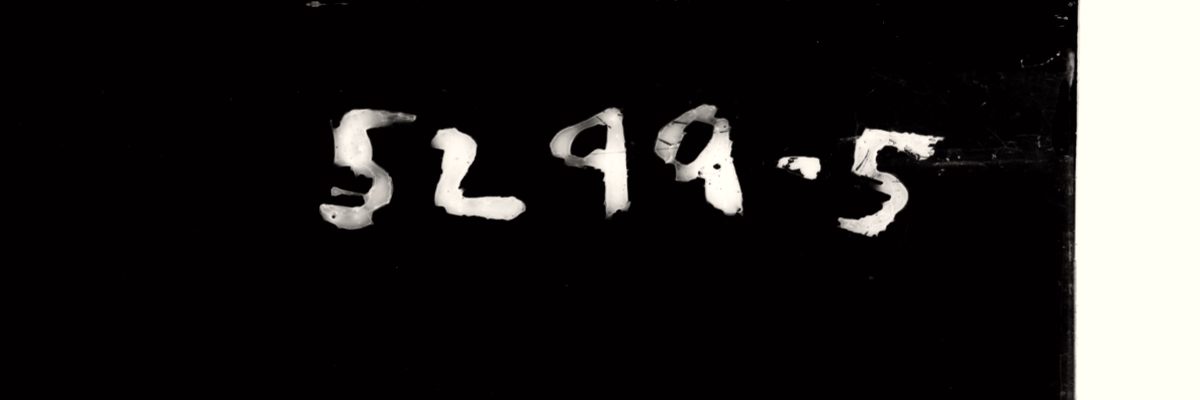 The handwritten file number 5299-5, white on a dark ground